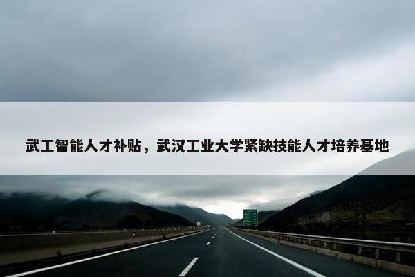 武工智能人才补贴，武汉工业大学紧缺技能人才培养基地