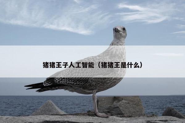 猪猪王子人工智能（猪猪王是什么）