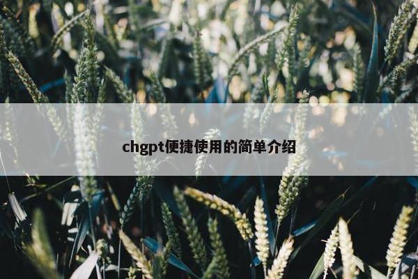 chgpt便捷使用的简单介绍