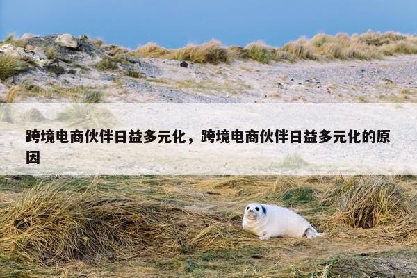 跨境电商伙伴日益多元化，跨境电商伙伴日益多元化的原因