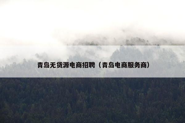 青岛无货源电商招聘（青岛电商服务商）