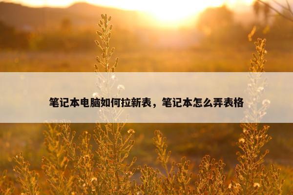 笔记本电脑如何拉新表，笔记本怎么弄表格