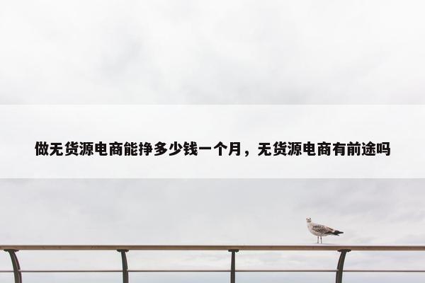 做无货源电商能挣多少钱一个月，无货源电商有前途吗