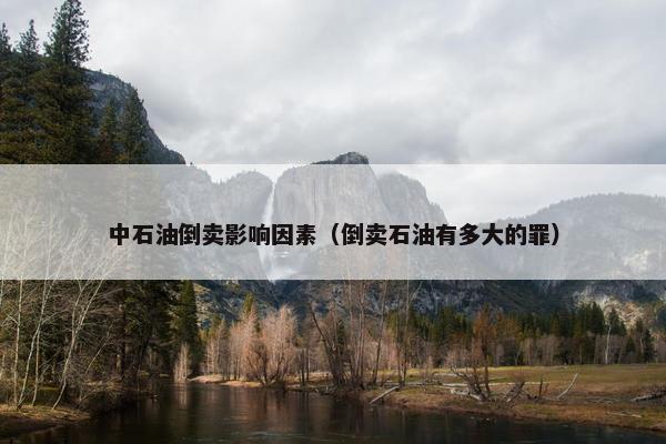 中石油倒卖影响因素（倒卖石油有多大的罪）