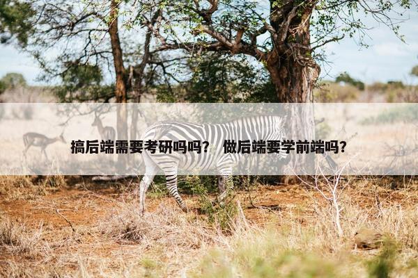 搞后端需要考研吗吗？ 做后端要学前端吗？