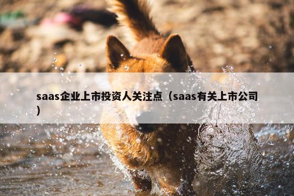 saas企业上市投资人关注点（saas有关上市公司）
