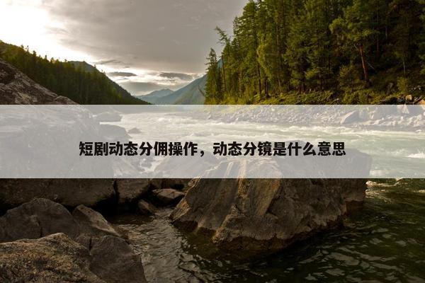 短剧动态分佣操作，动态分镜是什么意思
