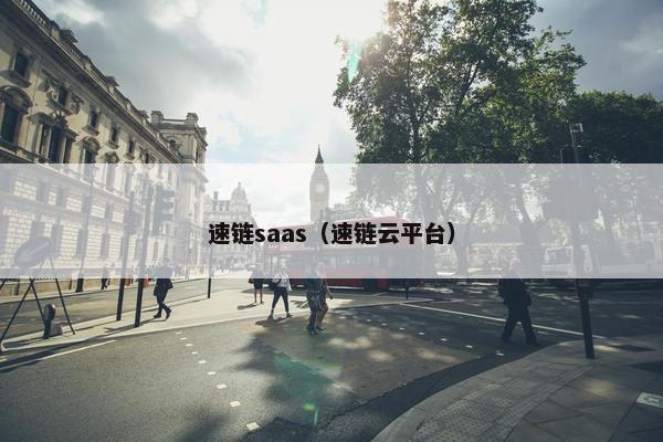 速链saas（速链云平台）