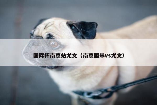 国际杯南京站尤文（南京国米vs尤文）