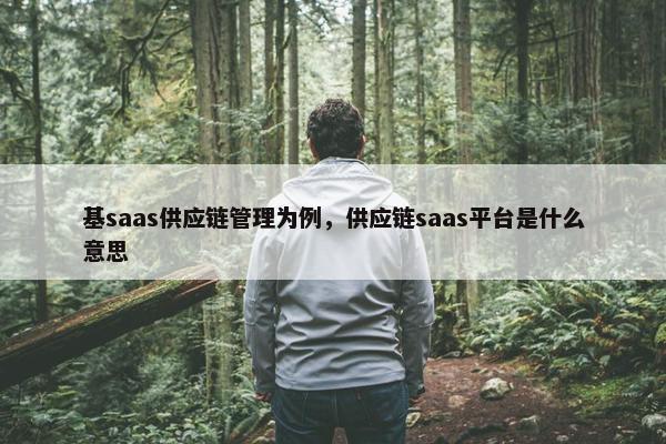 基saas供应链管理为例，供应链saas平台是什么意思