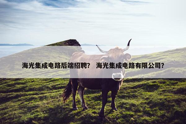 海光集成电路后端招聘？ 海光集成电路有限公司？