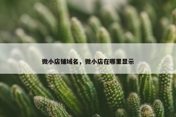 微小店铺域名，微小店在哪里显示