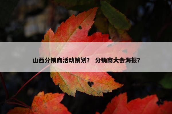 山西分销商活动策划？ 分销商大会海报？