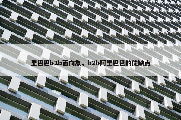 里巴巴b2b面向象，b2b阿里巴巴的优缺点