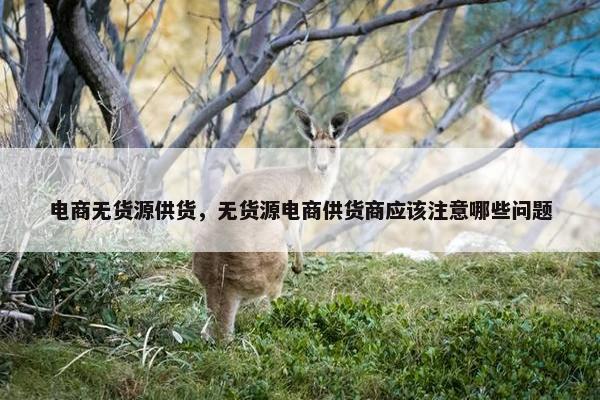 电商无货源供货，无货源电商供货商应该注意哪些问题
