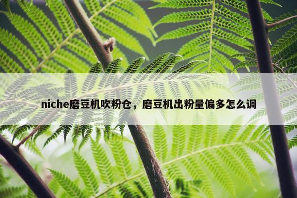 niche磨豆机吹粉仓，磨豆机出粉量偏多怎么调