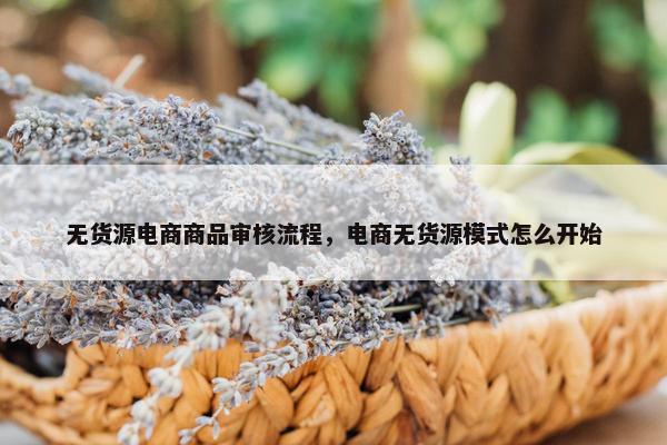无货源电商商品审核流程，电商无货源模式怎么开始