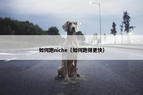 如何跑niche（如何跑得更快）