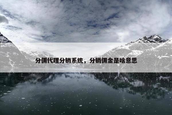 分佣代理分销系统，分销佣金是啥意思