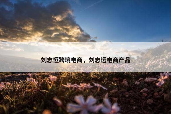 刘志恒跨境电商，刘志远电商产品