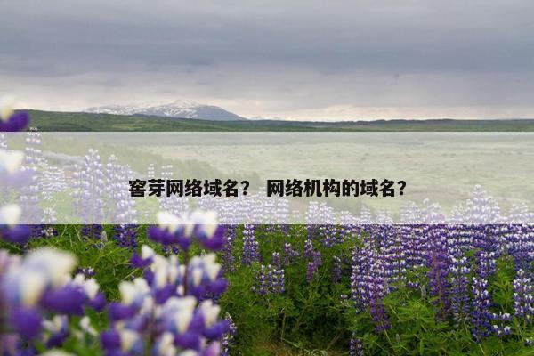 窖芽网络域名？ 网络机构的域名？