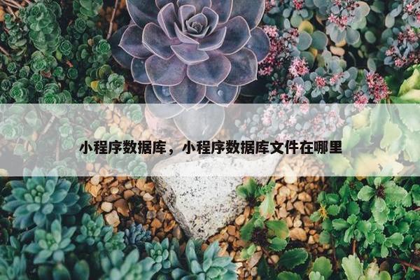 小程序数据库，小程序数据库文件在哪里