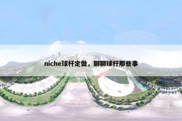 niche球杆定做，聊聊球杆那些事