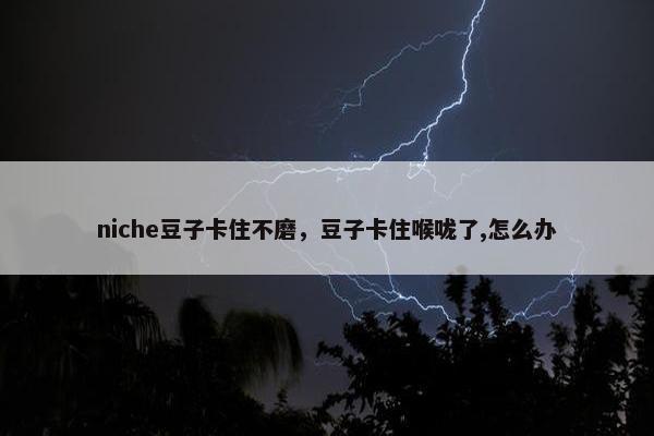 niche豆子卡住不磨，豆子卡住喉咙了,怎么办