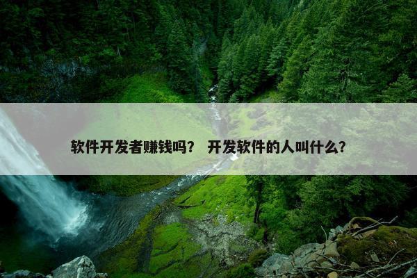 软件开发者赚钱吗？ 开发软件的人叫什么？