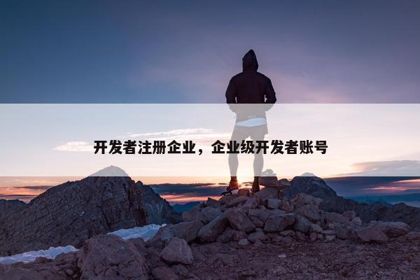 开发者注册企业，企业级开发者账号