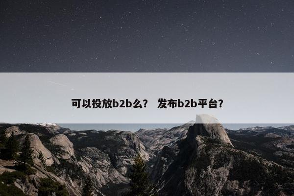 可以投放b2b么？ 发布b2b平台？
