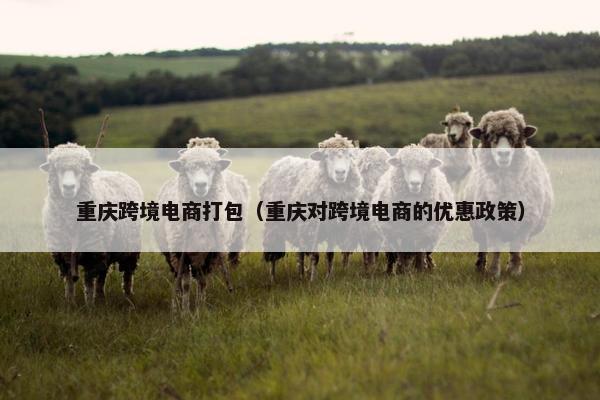 重庆跨境电商打包（重庆对跨境电商的优惠政策）
