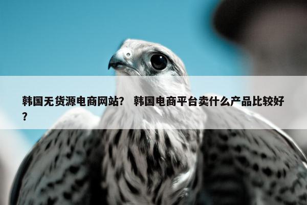 韩国无货源电商网站？ 韩国电商平台卖什么产品比较好？