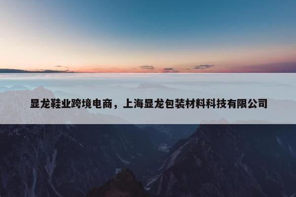 显龙鞋业跨境电商，上海显龙包装材料科技有限公司
