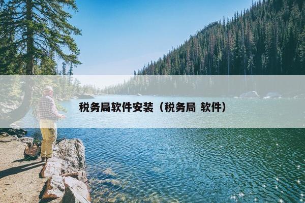 税务局软件安装（税务局 软件）