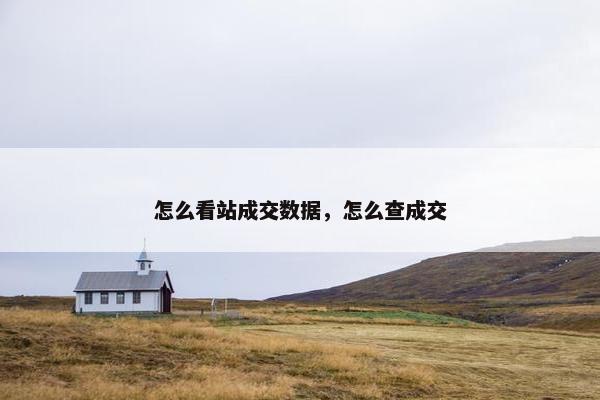 怎么看站成交数据，怎么查成交