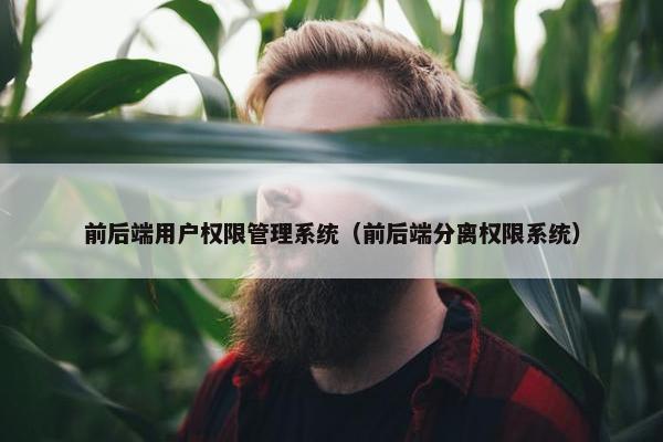 前后端用户权限管理系统（前后端分离权限系统）