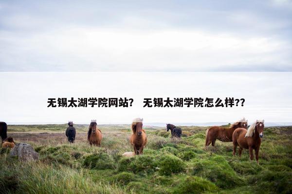 无锡太湖学院网站？ 无锡太湖学院怎么样?？