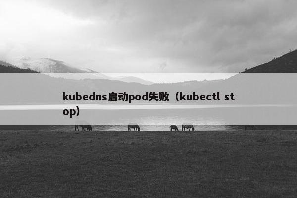 kubedns启动pod失败（kubectl stop）