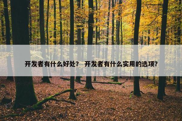 开发者有什么好处？ 开发者有什么实用的选项？