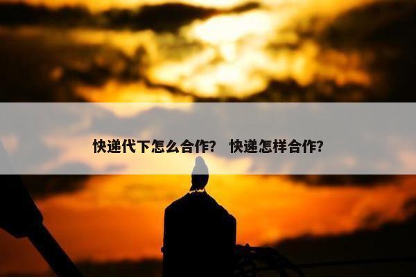 快递代下怎么合作？ 快递怎样合作？