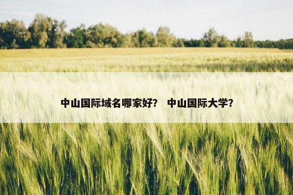 中山国际域名哪家好？ 中山国际大学？