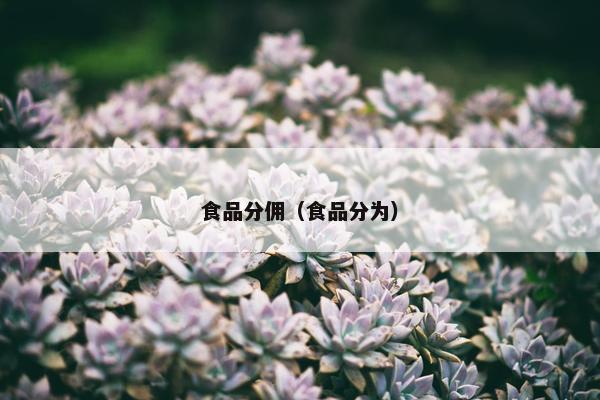 食品分佣（食品分为）
