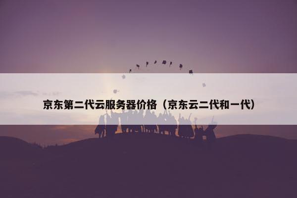 京东第二代云服务器价格（京东云二代和一代）