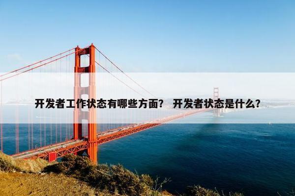 开发者工作状态有哪些方面？ 开发者状态是什么？