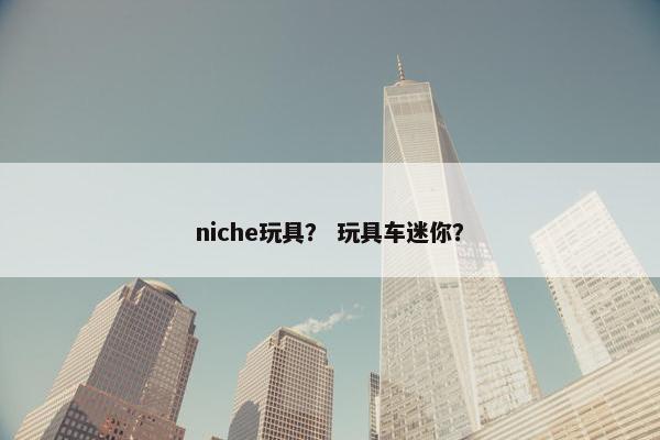 niche玩具？ 玩具车迷你？
