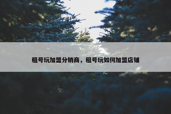 租号玩加盟分销商，租号玩如何加盟店铺