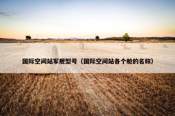 国际空间站军舰型号（国际空间站各个舱的名称）