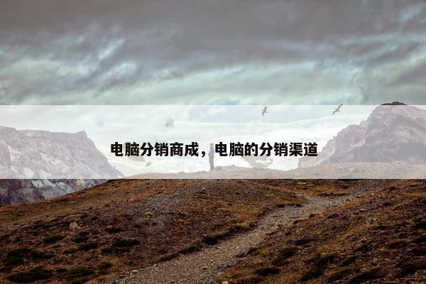 电脑分销商成，电脑的分销渠道