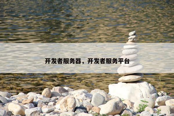 开发者服务器，开发者服务平台